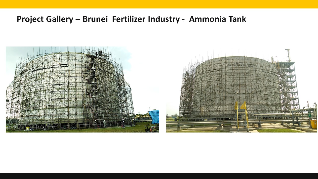 Borneo Systematic project photo