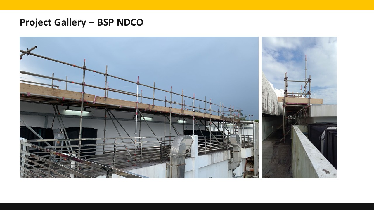 Borneo Systematic project photo