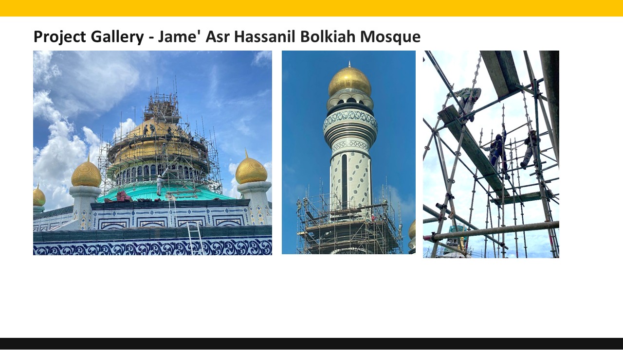 Borneo Systematic project photo