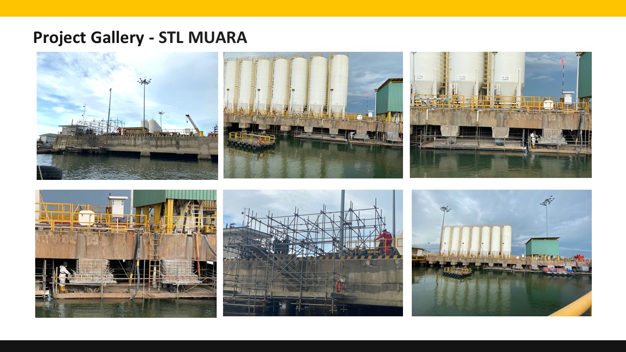 Borneo Systematic project photo